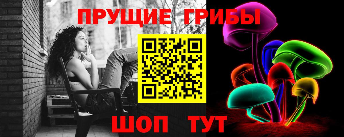 Галлюциногенные грибы MAGIC MUSHROOMS  Псилоцибиновые грибы Psilocybe  Шатура  Вход с VPN 